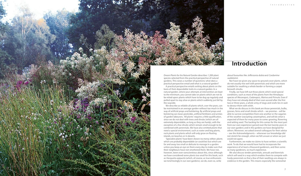 Dream Plants for the Natural Garden. Piet Oudolf