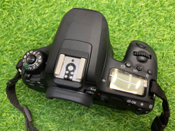 Canon EOS 77D (2.100 кадров)
