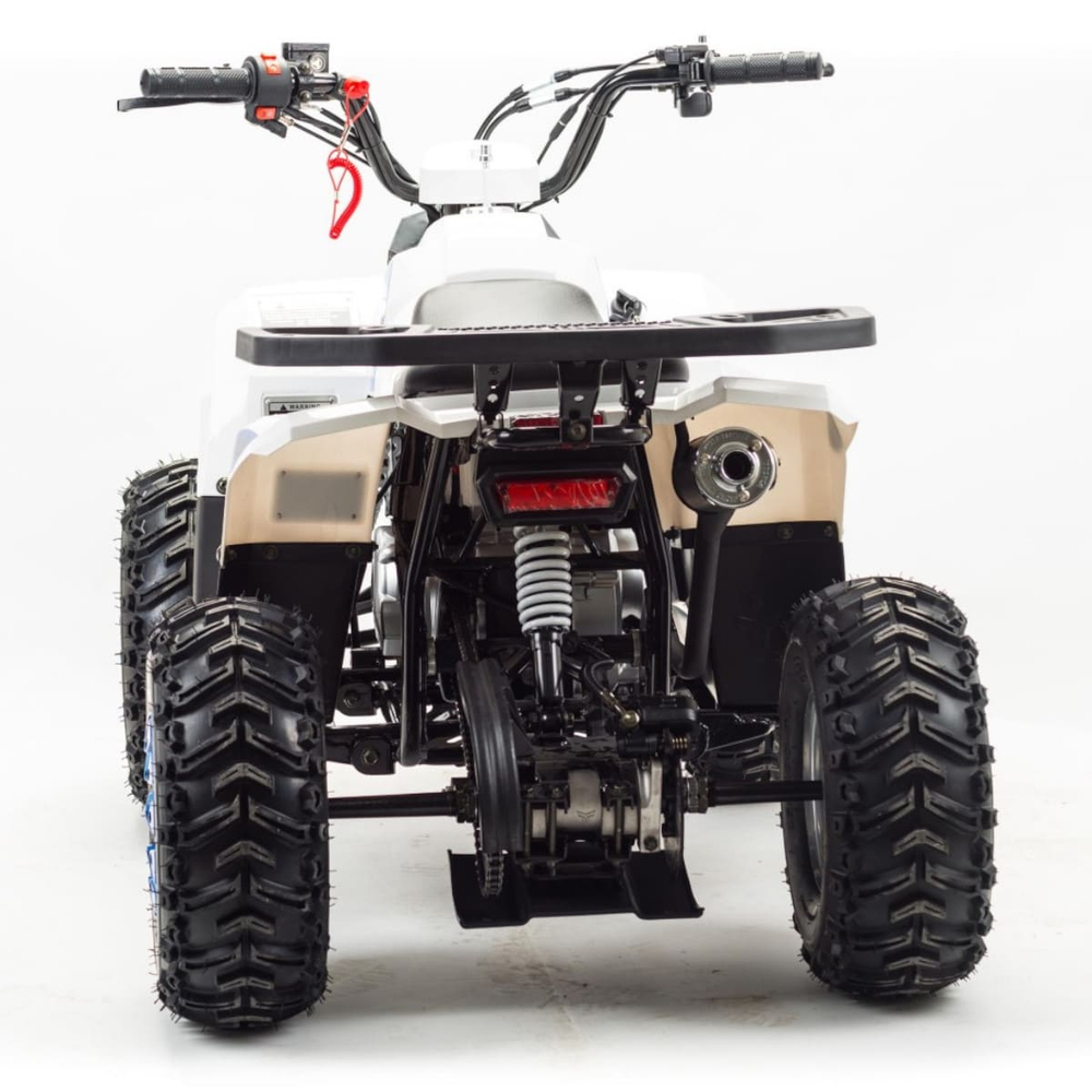 Квадроцикл MOTOLAND 110 Eagle (2021 Г.)