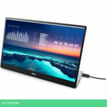 Портативный монитор Dell P1424H