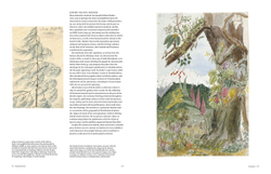 Botanical Sketchbooks