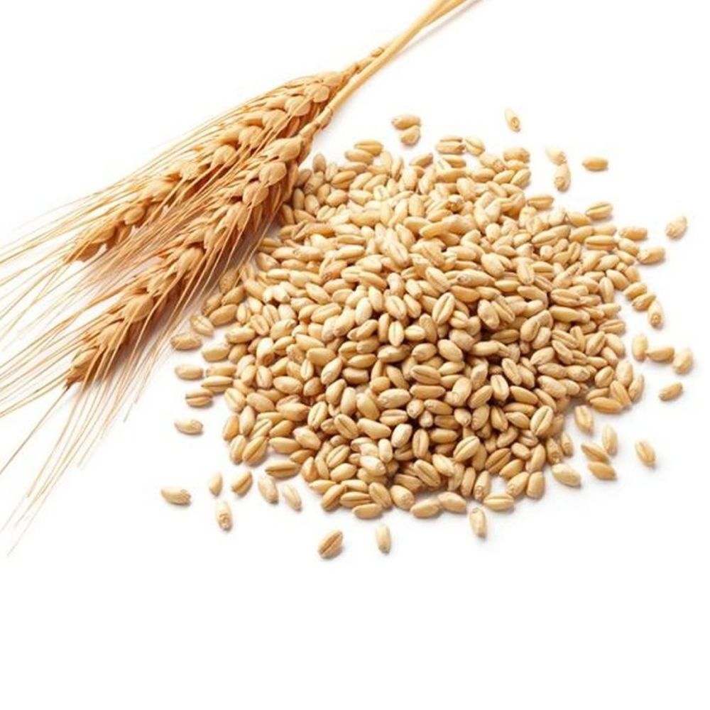 Гидролизат протеинов пшеницы (Россия)