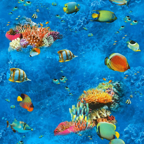 Обои 612-01 Немо Саратов