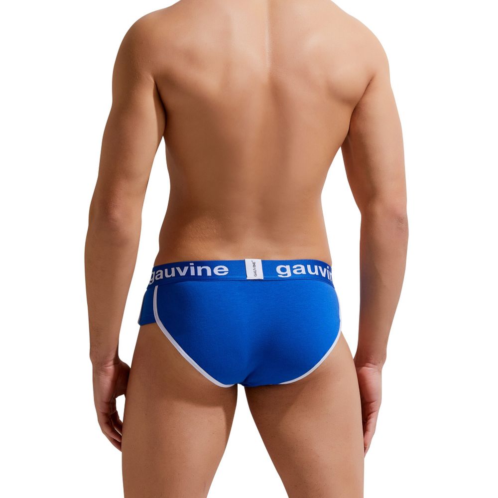 Мужские трусы брифы синие GAUVINE 2008