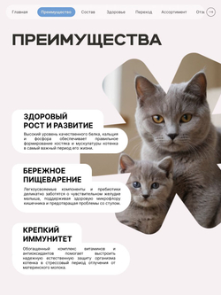 Корм сухой для котят породы Курильский бобтейл, с лососем, 2 кг, QUATTRO