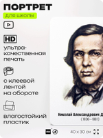 Портрет для школы в кабинет литературы и русского языка "Добролюбов Николай Александрович", стенд школьный для класса, для оформления классного уголка, 40х30 см, Silver Plane x Айдентика Технолоджи