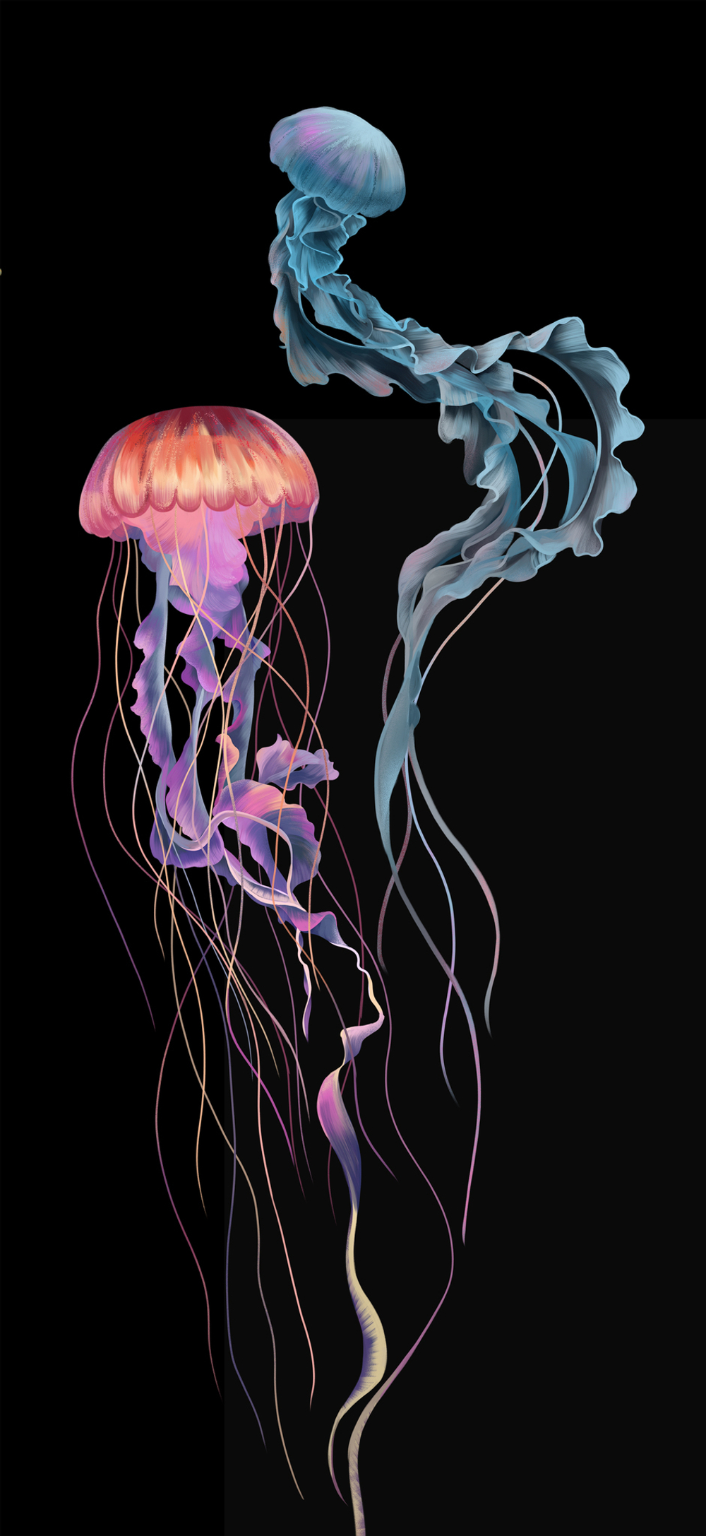 Коллекция EDEN SEASONS