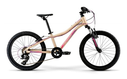 Детский велосипед Merida Matts J.20 Eco (2022)