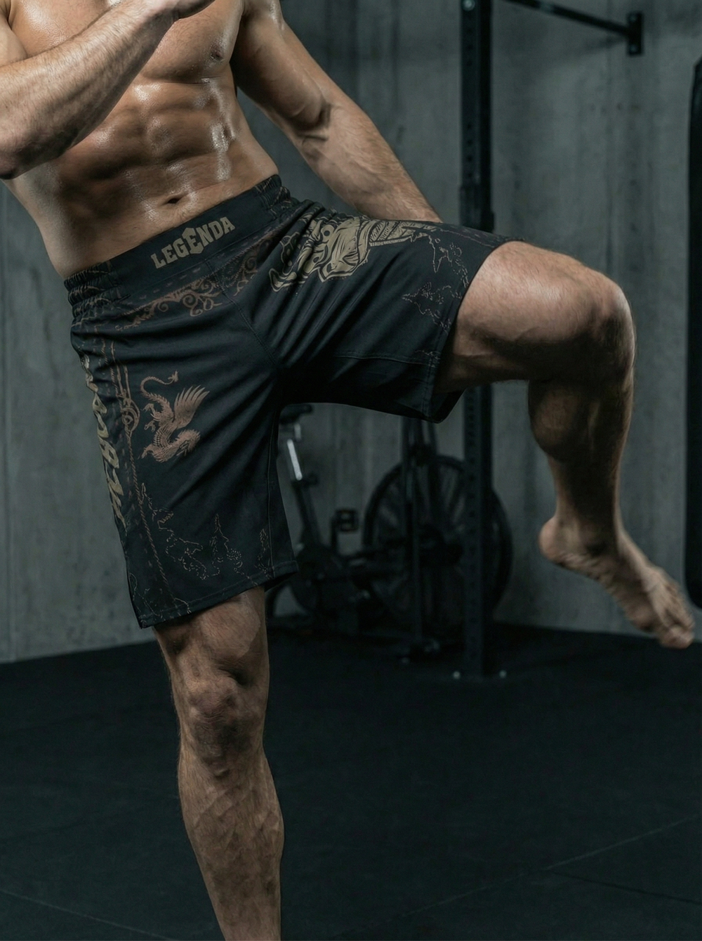 Шорты спортивные тренировочные LEGENDA Горыныч