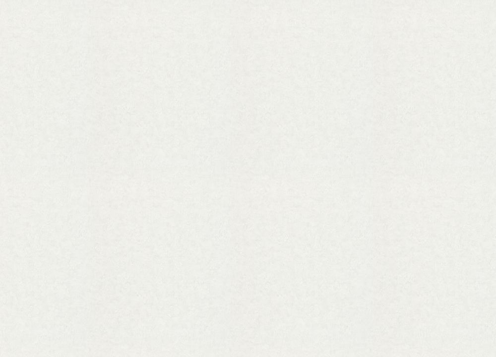 Otaru / Kumano / Surface