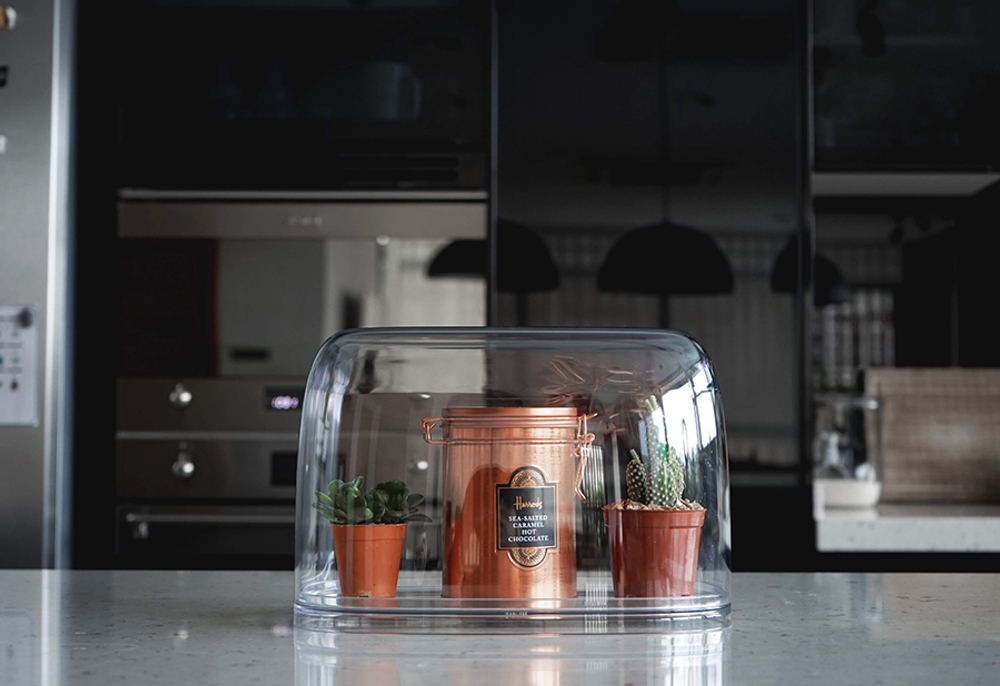 Контейнер с мерной ложкой Lucky Mouse Qualy