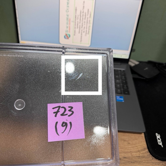 723-у | Форма "Для росписи Max" (275*175 мм)