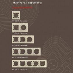 Розетка для вывод кабеля без рамки Arte Milano am-206 206.49-1.shampan