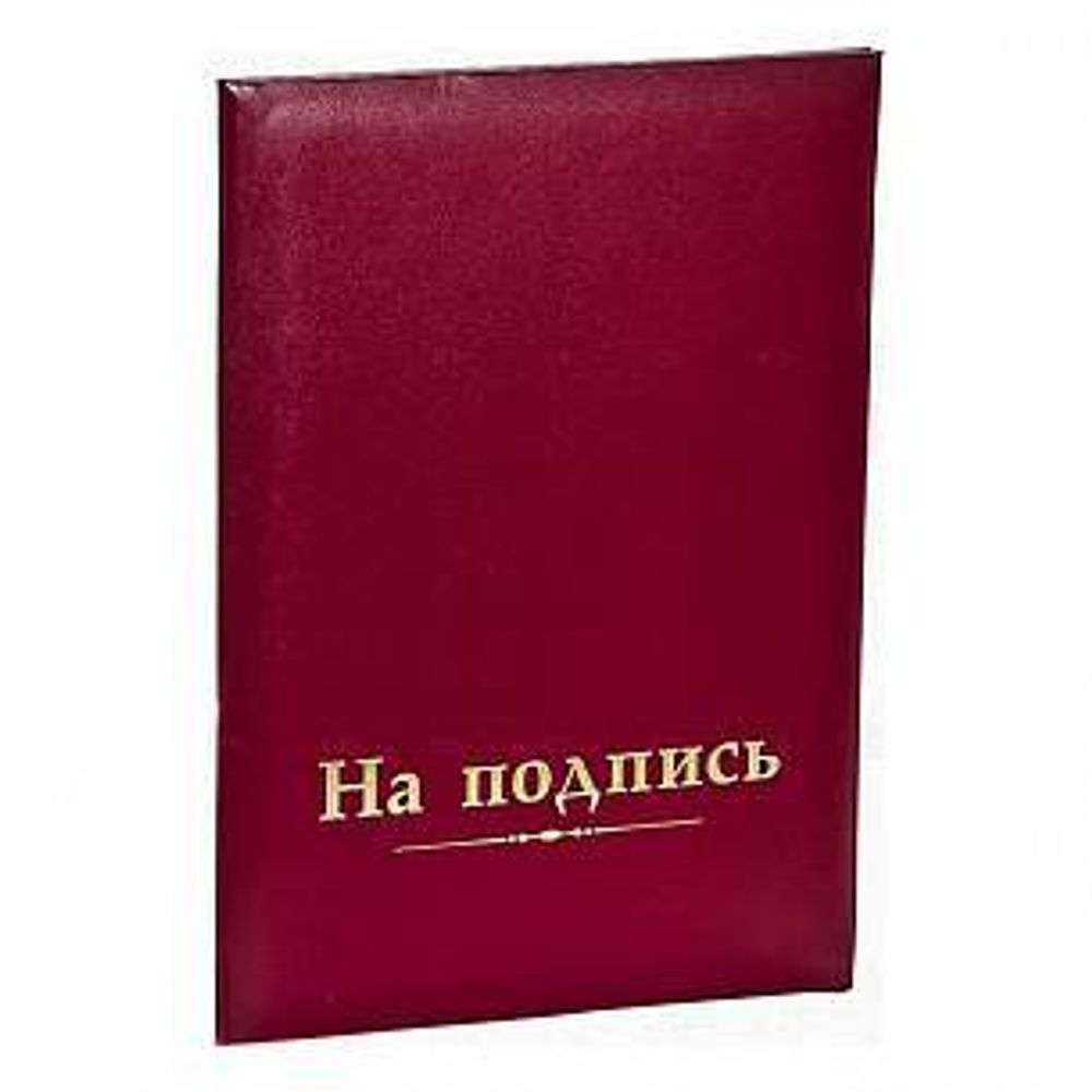 папка для документов на подпись руководителю. папка на подпись руководителю. папка адресная (а4, бумвинил). папка адресная (а4, бумвинил). папки кожаные на подпись с логотипом.