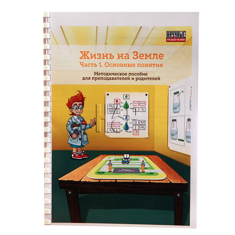 Развивающая игра Жизнь на Земле