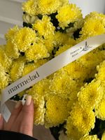 Хризантема в светло-желтом оттенке