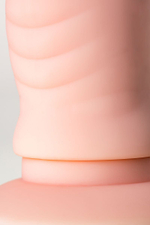 Двойной фаллоимитатор с присоской и съемной вибропулей - 19,5 см. (Цвет: телесный)