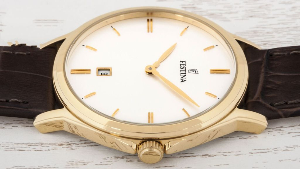 Мужские наручные часы Festina F16747/1