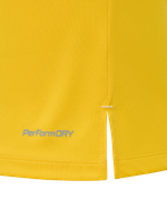 Футболка вратарская JOGEL PREMIER PerFormDRY GK Jersey Yellow, желтый