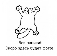 Дверь-купе NAIDY С, зеркало, профиль вишня