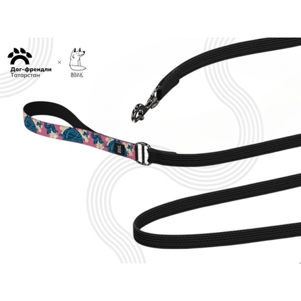 Поводок Парк тысячелетия. День