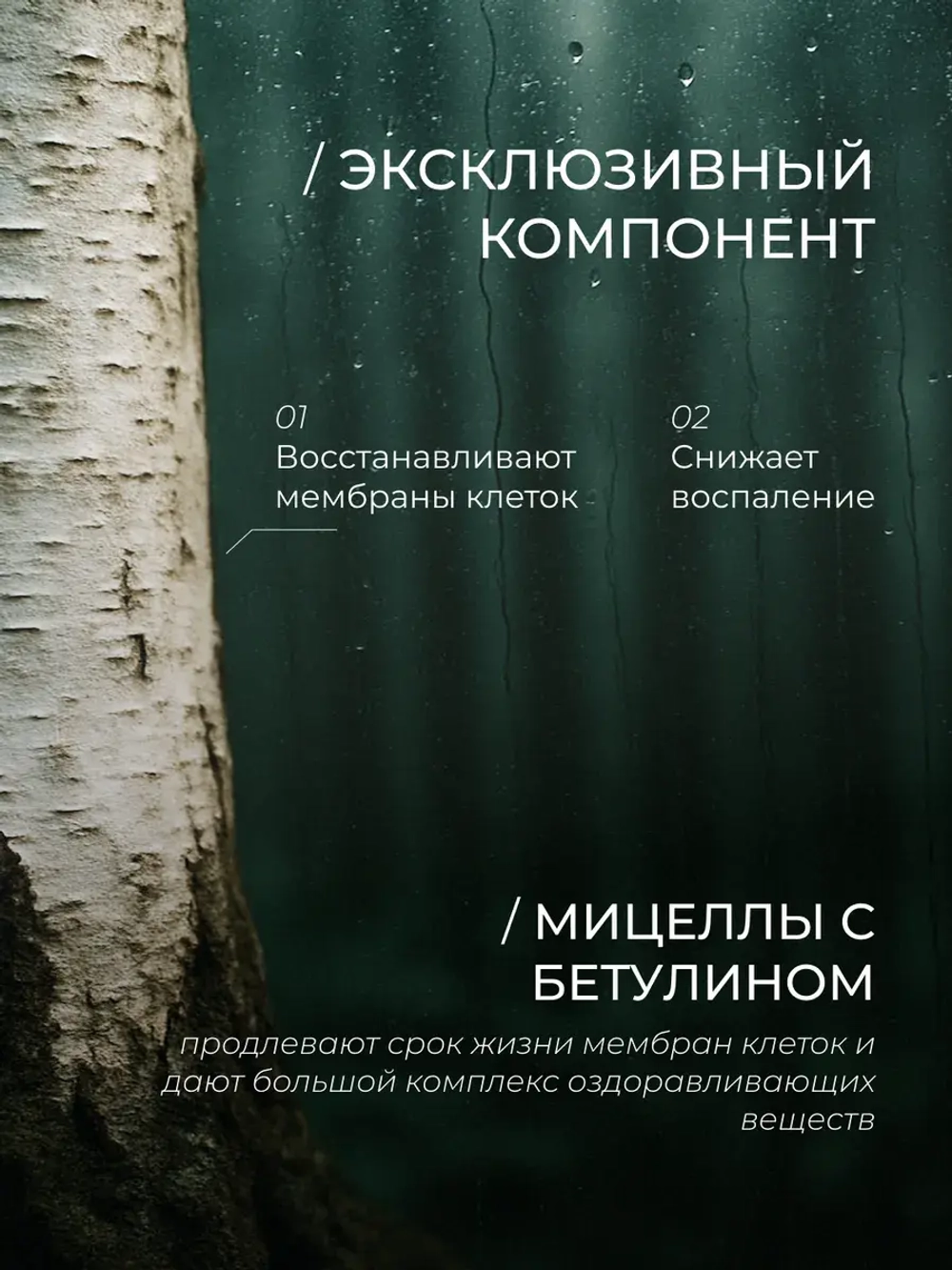 Восстанавливающий тоник с липосомами