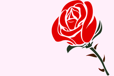 ТОП-5 букетов для первого свидания