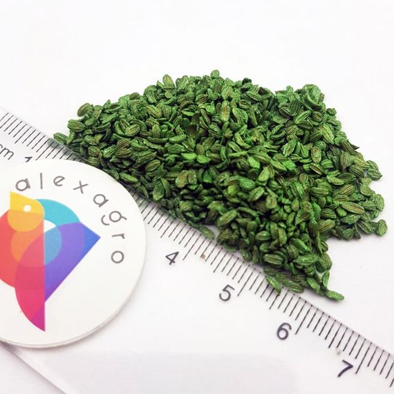 КАРДИФФ F1 семена моркови Bejo характеристика