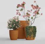 Кашпо VASE3 EROSIA OCHRE