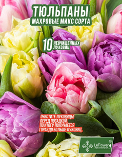Тюльпан Луковица, Микс махровых сортов, 10шт