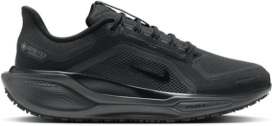 Кроссовки для бега мужские Nike Pegasus 41 Gore-Tex