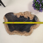 Набор из окаменелого дерева 3 предм Fossil Set NF-62867 поднос 23см*36см