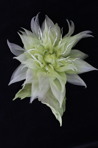 Брошь из натурального шелка - Георгин Лайм