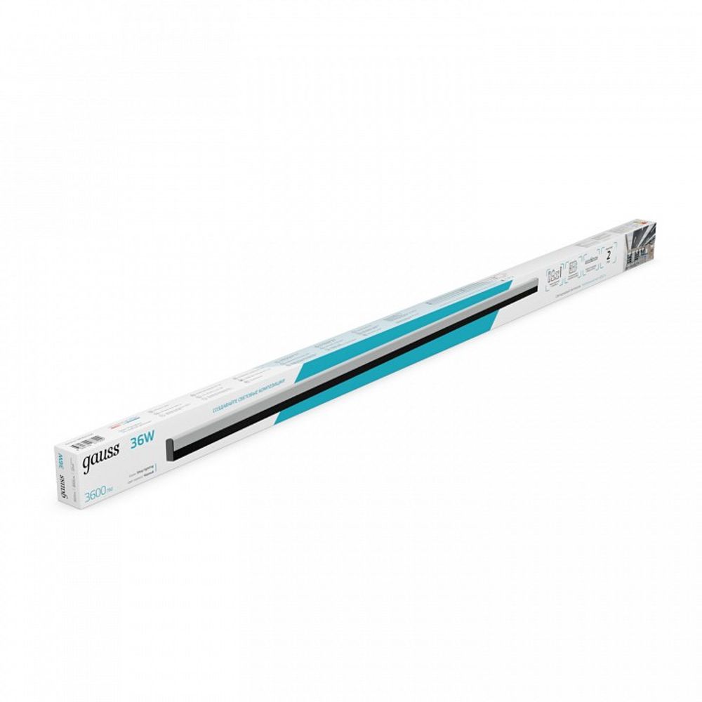 Накладной светильник Gauss  883625236