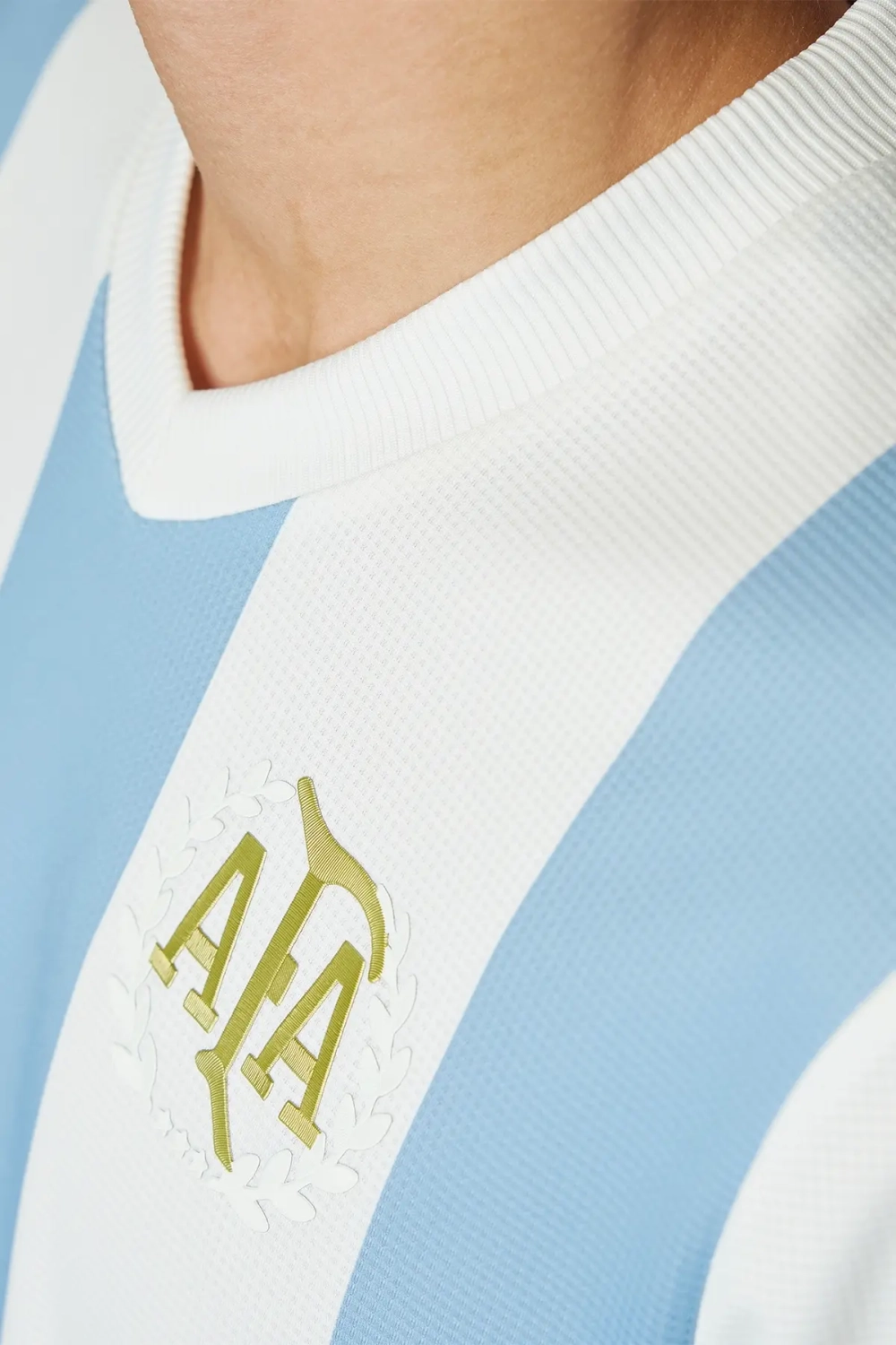 Футболка adidas Argentina Anniversary