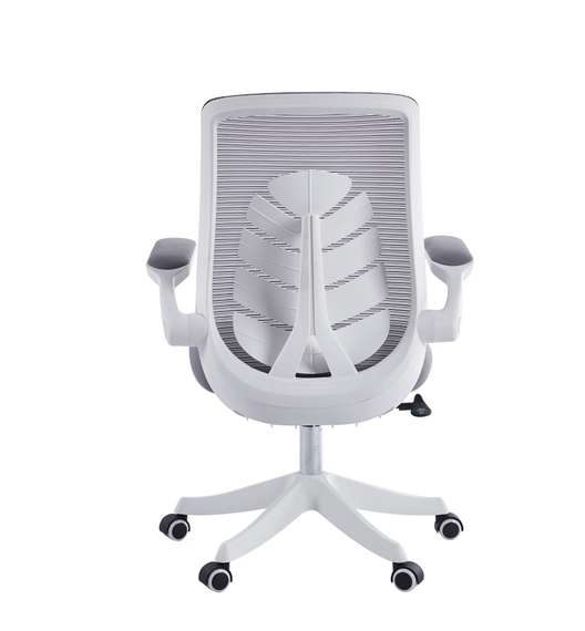 Офисное кресло Chairman CH565 белый пластик, серый