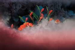 Коллекция Flower Dreams