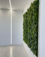 Панно из искусственного мха и растений для частного интерьера.