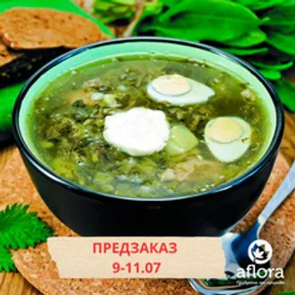 Щи с крапивой / 1 л