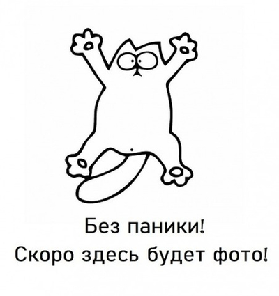 Дверь-купе ARISTO AVERS, зеркало, профиль золото матовое