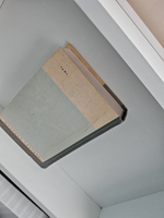 Ломоносов (ЖЗЛ)