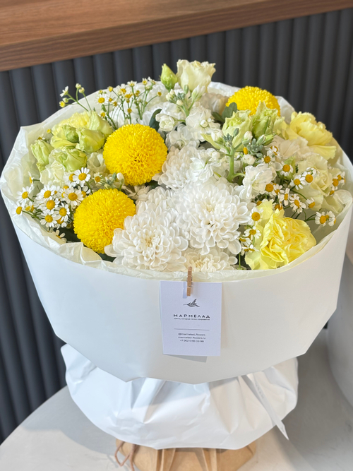 собран сегодня #01