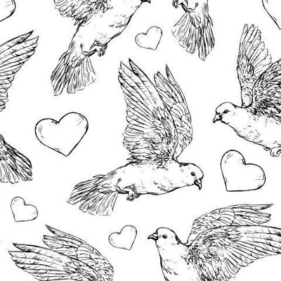 голуби графика, скетч