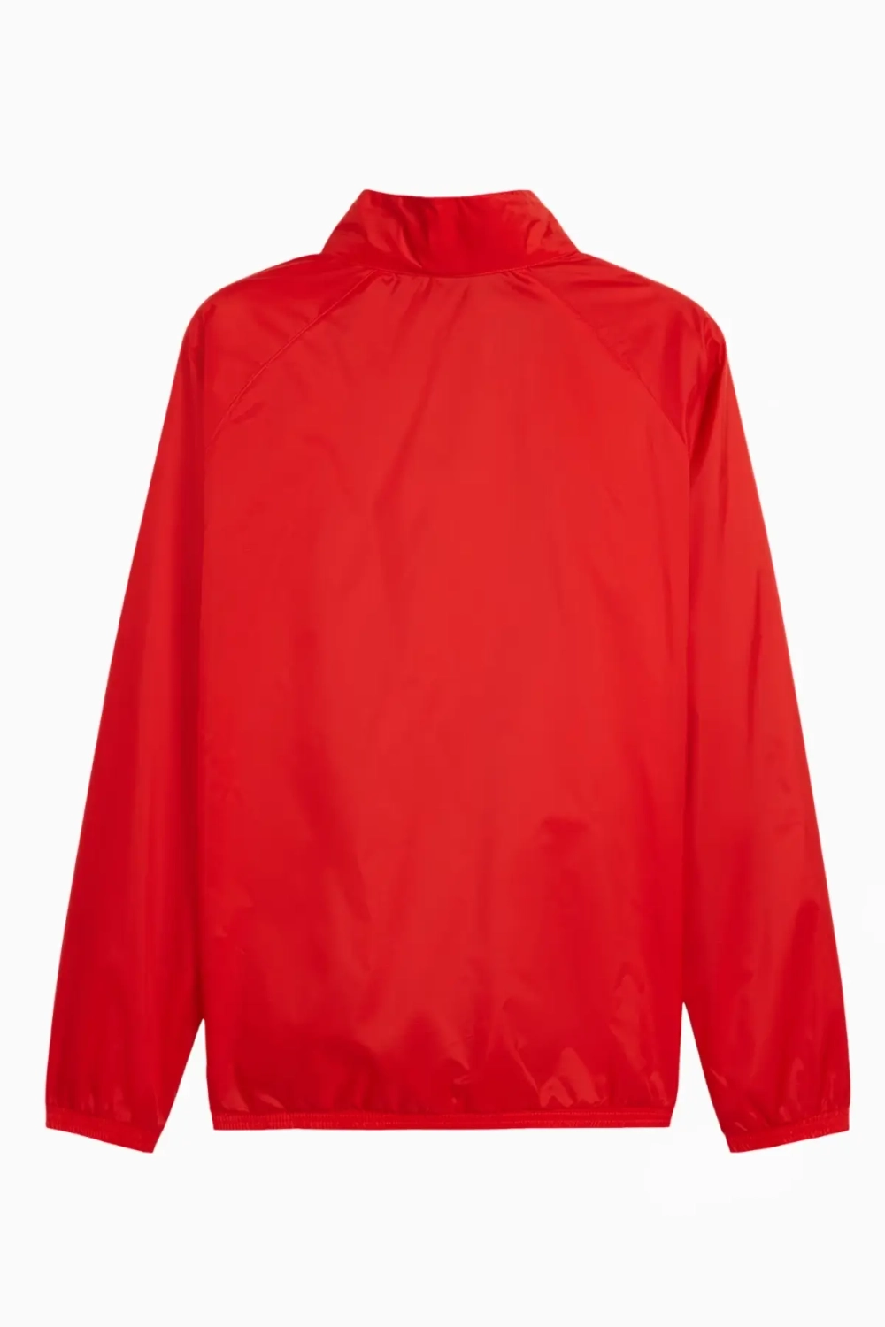 Ветровка Puma teamGOAL All Weather - черный