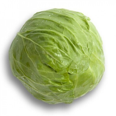 Райма F1 семена капусты белокочанной (Rijk Zwaan / Райк Цваан)