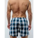 Мужские трусы-шорты темно-изумрудные в клетку SERGIO DALLINI SG3310-12