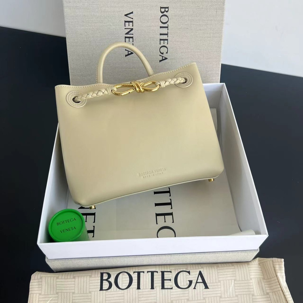 Bottega Veneta Small Andiamo 25 cm