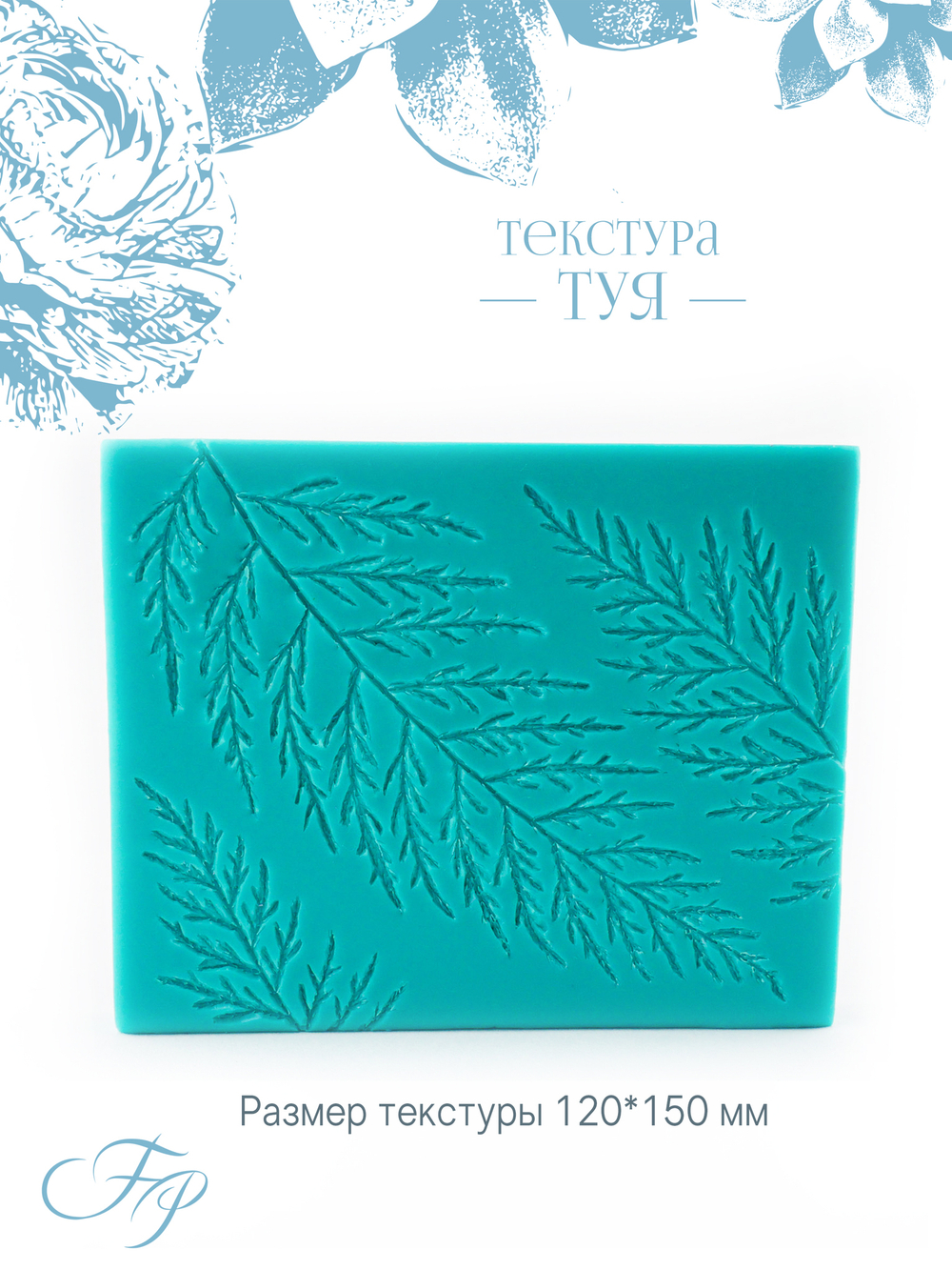 Текстура Туя