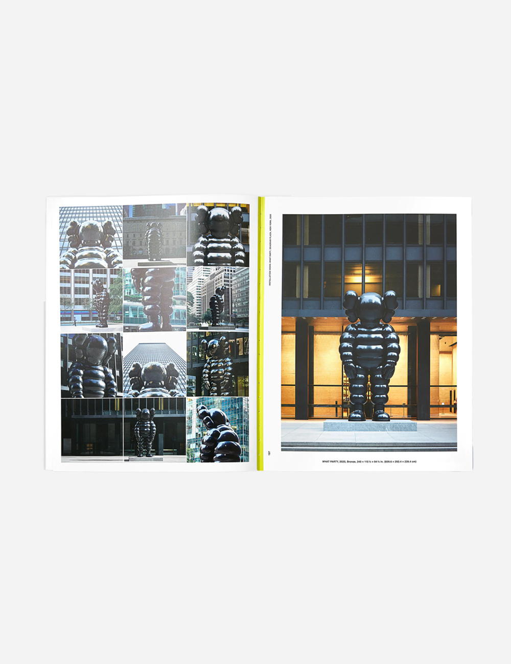 Книга KAWS: WHAT PARTY