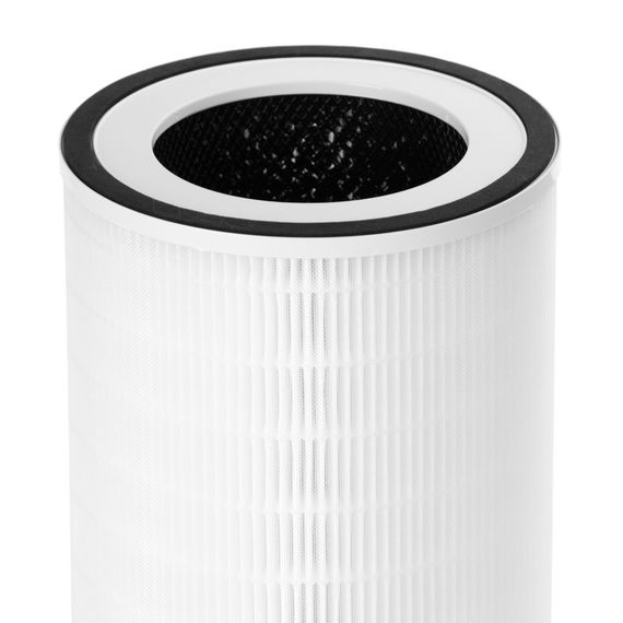 Комплект фильтров FAP-1016 для воздухоочистителя Electrolux EAP-1016 купить в Москве и Московской области по низкой цене с доставкой по России — (2) Комплект фильтров FAP-1016 для воздухоочистителя Electrolux EAP-1016 — (2)